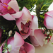 искусственные цветы орхидеи цвета фиолетовый с белым 15