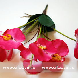 искусственные цветы орхидеи цвета малиновый 11
