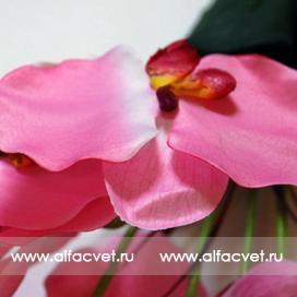 искусственные цветы букет орхидеи цвета розовый 5