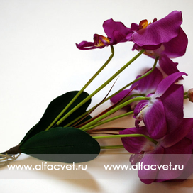 искусственные цветы букет орхидеи цвета фиолетовый 7