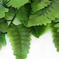 искусственные цветы папоротник с широкими листьями цвета зеленый 59