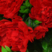 искусственные цветы пионы цвета красный 4