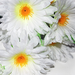 искусственные цветы букет ромашек цвета белый 6