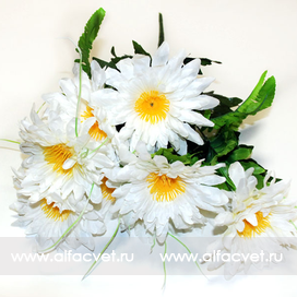 искусственные цветы ромашки с папоротником цвета белый 6