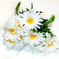 искусственные цветы ромашки с папоротником цвета белый 6
