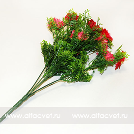 искусственные цветы ромашки c пластиком цвета красный 4