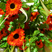 искусственные цветы букет ромашка с осокой цвета оранжевый 2