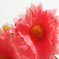 искусственные цветы ромашка цвета розовый 5