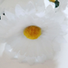искусственные цветы ромашка цвета белый 6