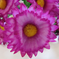 искусственные цветы ромашка цвета фиолетовый 7