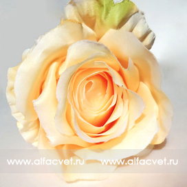 искусственные цветы роза цвета оранжевый с кремовым 23