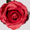 искусственные цветы роза цвета красный 4