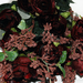 искусственные цветы букет роз цвета коричневый 63