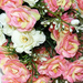 искусственные цветы букет роз цвета розовый с белым 14