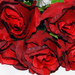 искусственные цветы букет роз цвета бордовый 61