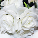искусственные цветы розы цвета белый 6