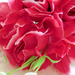 искусственные цветы роза-колокольчик цвета малиновый 11