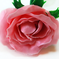 искусственные цветы розы пластмассовые цвета розовый 5