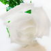 искусственные цветы розы пластмассовые цвета белый 6