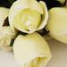 искусственные цветы розы с каплями цвета белый 6