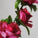 искусственные цветы ветки роз цвета малиновый 11