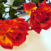 искусственные цветы ветка роз цвета оранжевый 2