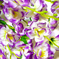 искусственные цветы сакура цвета фиолетовый с белым 15