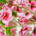 искусственные цветы сакура цвета светло-розовый 9