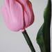 искусственные цветы тюльпан цвета розовый 5