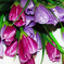 искусственные цветы тюльпаны цвета фиолетовый с сиреневым 50
