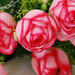искусственные цветы тюльпаны цвета розовый 5