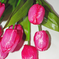 искусственные цветы букет тюльпанов цвета малиновый 11