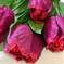 искусственные цветы тюльпан цвета малиновый 11