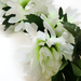 искусственные цветы ветка хризантем цвета белый 6