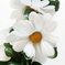 искусственные цветы ветка ромашек цвета белый 6