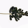 искусственные цветы ветка елочки цвета зеленый 59