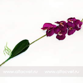искусственные цветы ветка орхидей цвета фиолетовый 7