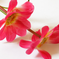 искусственные цветы ветка ромашек с осокой цвета розовый 5