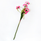 искусственные цветы ветка ромашек с осокой цвета розовый 5