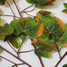 искусственные цветы ветки винограда цвета зеленый с коричневым 57